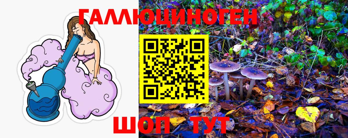 хочу   Псилоцибиновые грибы Psilocybine cubensis  Вход с VPN  Галлюциногенные грибы Psilocybine cubensis  Ейск 