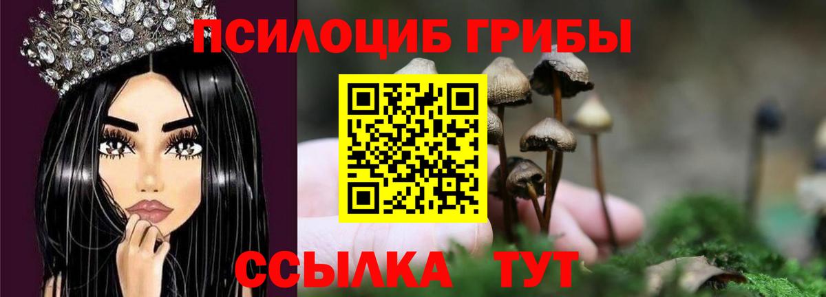 Конопля  Ейск  Мефедрон кристаллы  Cocaine  A PVP СОЛЬ кристаллы  НБОМе  ГАШИШ  МЕТАМФЕТАМИН  Вход с VPN 